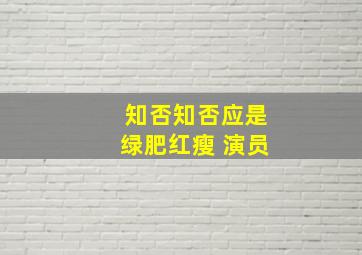 知否知否应是绿肥红瘦 演员